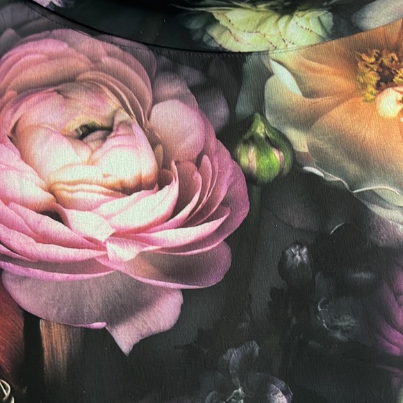 Ted Baker dress - Picture 8 of 11